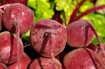 Picture of Beets