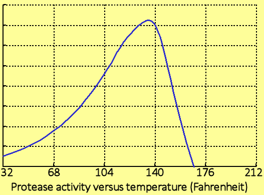 Protease Activity by Temperature