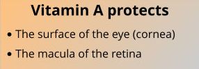 Vitamin A protects the eye
